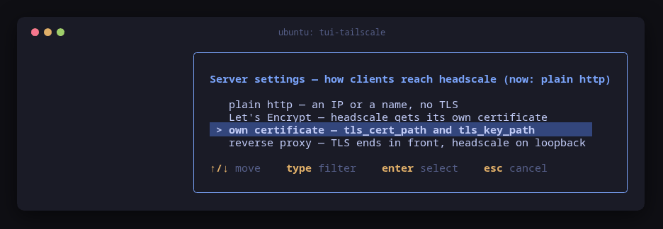 tui-tailscale's server settings picker with own certificate selected among plain http, Let's Encrypt and reverse proxy