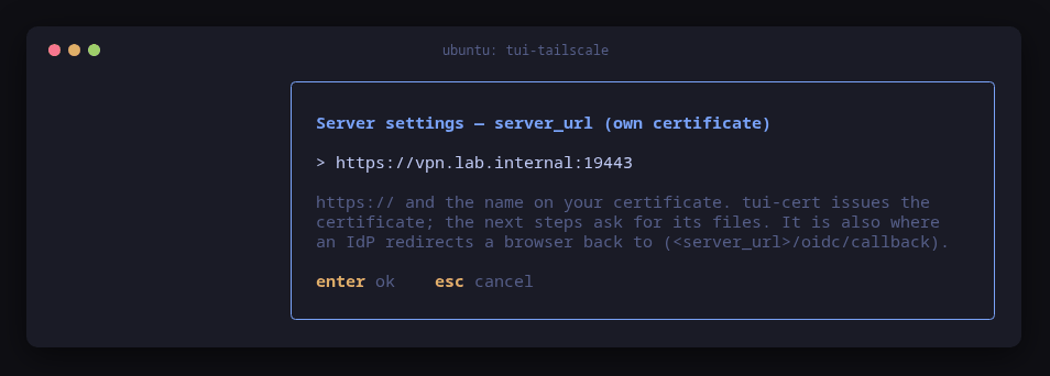 tui-tailscale's server_url step with https://vpn.lab.internal:19443 typed in
