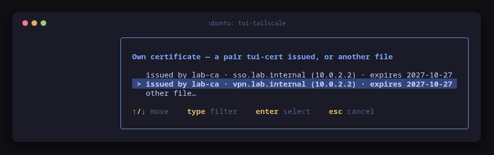 tui-tailscale's list of certificate pairs issued by lab-ca, with vpn.lab.internal selected