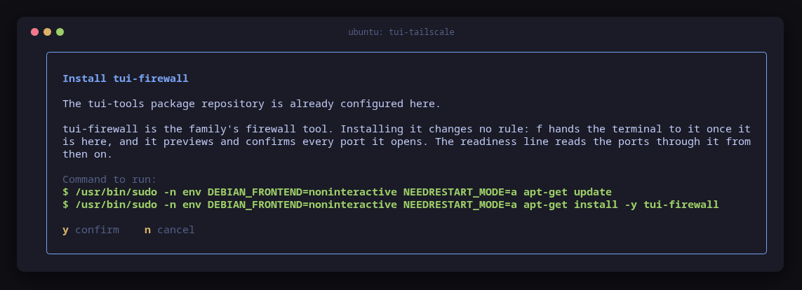 tui-tailscale's dialog to install tui-firewall with apt-get