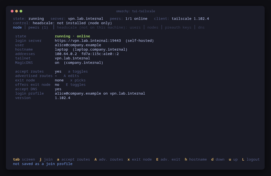 tui-tailscale's node screen on the laptop, running and online as alice@company.example with address 100.64.0.2