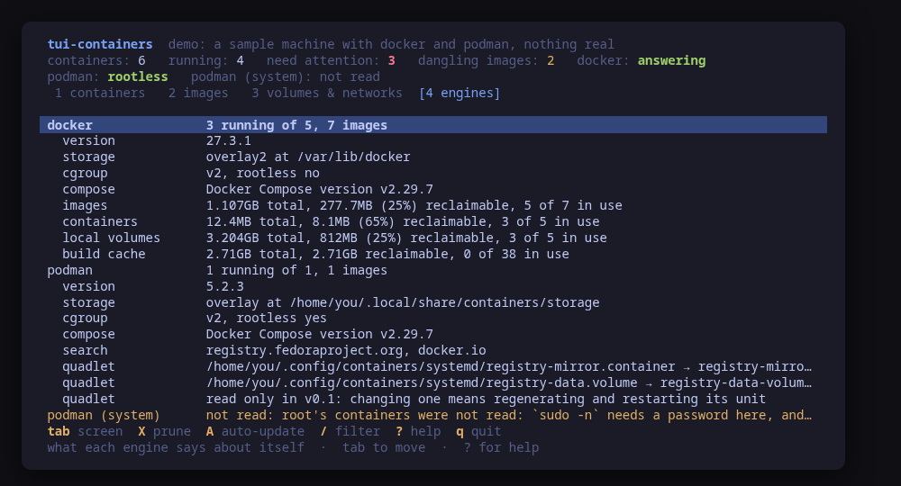 What each engine says about itself: version, storage driver, rootless, compose, and what could be reclaimed