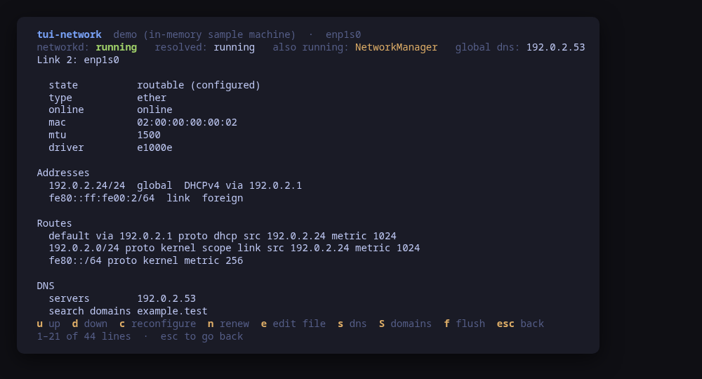 One link in full: addresses, routes, DNS, lease, its .network file and the networkd journal