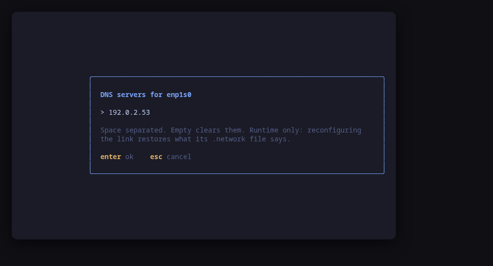 Setting a link's DNS servers at runtime, through resolvectl