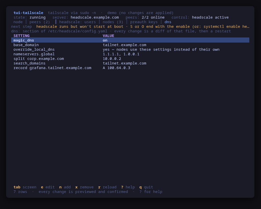The dns screen: MagicDNS, nameservers, a split domain and an extra record, each edited as a diff of config.yaml