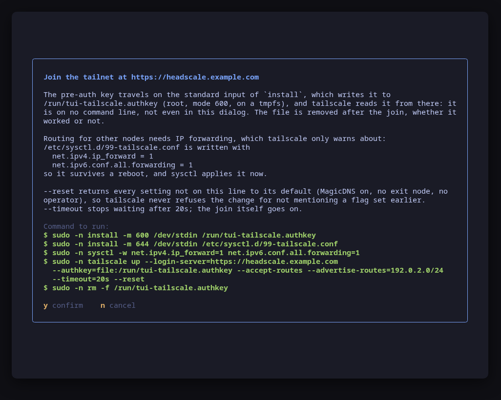 A join previewed: the pre-auth key file, IP forwarding, tailscale up and the key file's removal, in one dialog