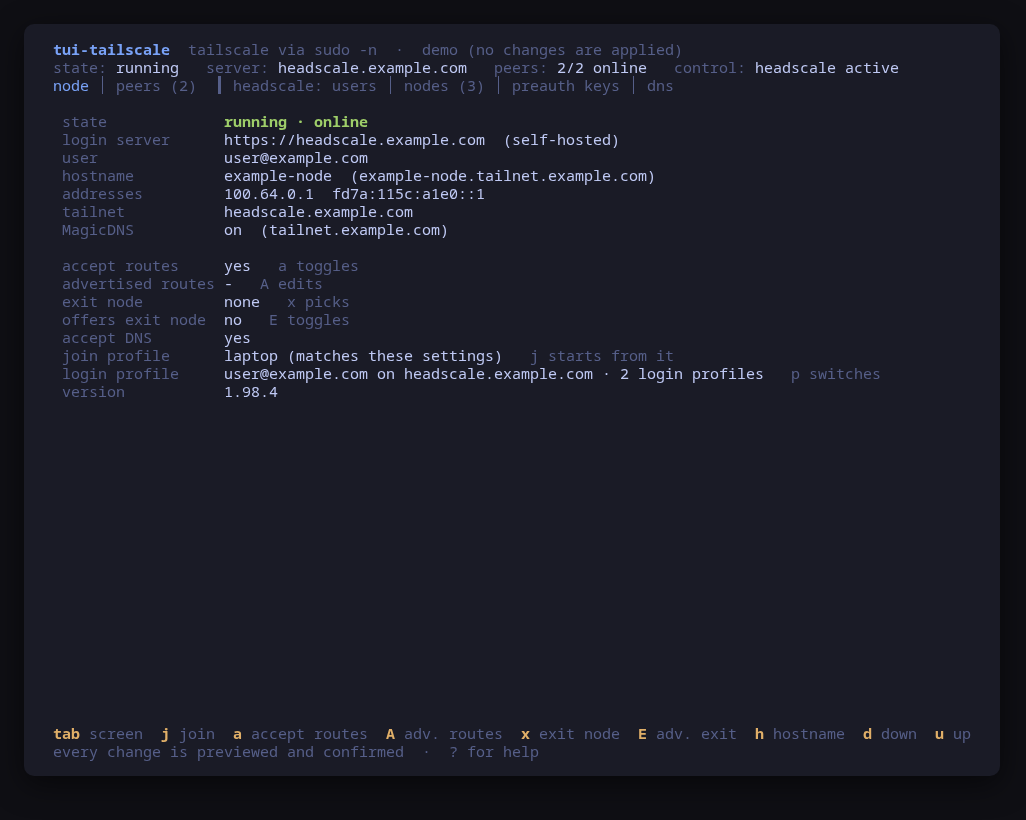 The node screen: state, login server, addresses, and the settings that decide what this node routes