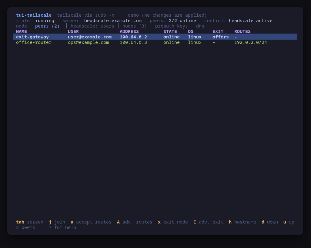 The peers screen: owner, address, state, exit node offers and the subnets each peer serves