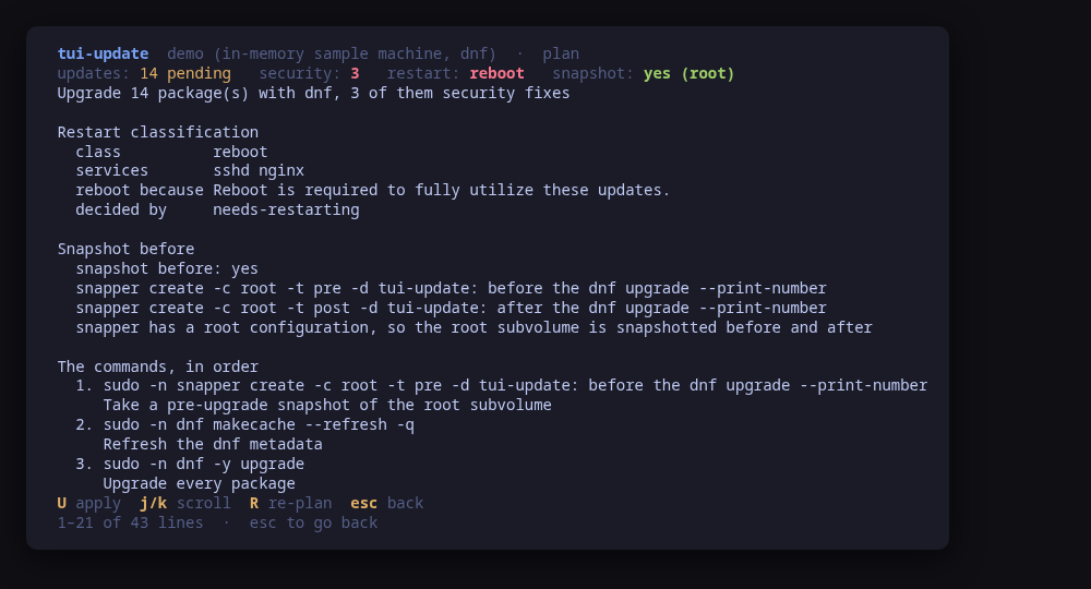 The plan: restart classification, the snapshot that would be taken, and the whole command sequence