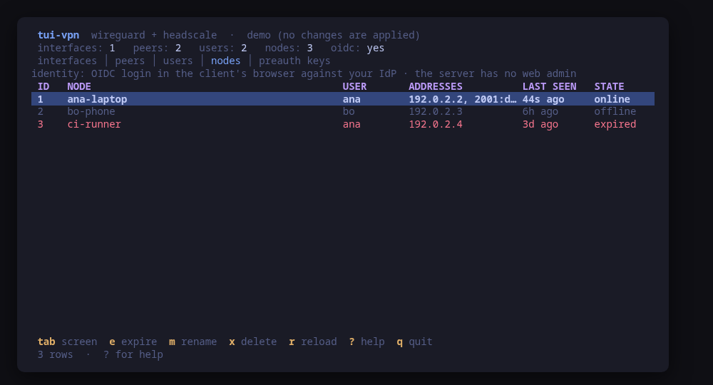 The Headscale nodes screen: who owns each node and its state, above the OIDC identity note